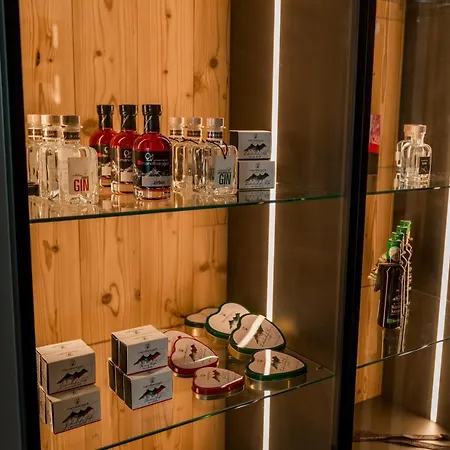 Apartmentresort Mylodge 4* Schladming